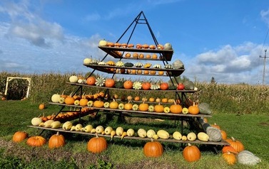 IMG_3549.jpeg