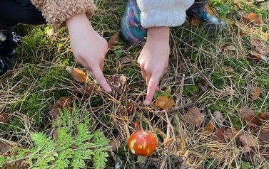 IMG_3596.jpeg