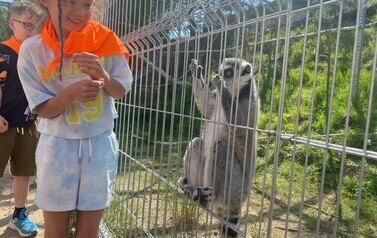 IMG-2630-1780915313.jpeg