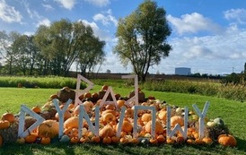 IMG_3550.jpeg
