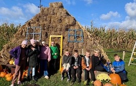 IMG_3538.jpeg