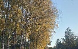 PHOTO-2026-10-28-07-45-14(4)