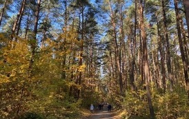IMG_3599.jpeg