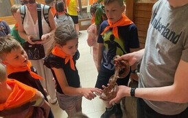 IMG-2660-1780915313.jpeg